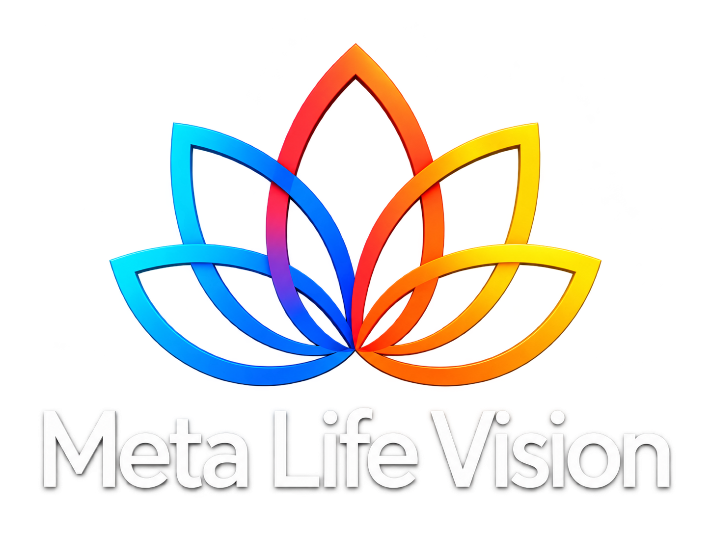 Meta Life Vision